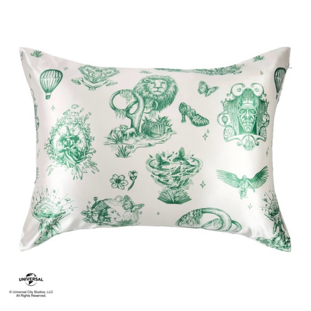 Wicked: for good x Katie Kime blissy standard 600 count amazifying pillowcaseNEW
